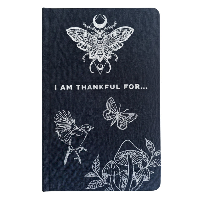 Black & Silver Gratitude Journal- 120 pages - I am Thankful For