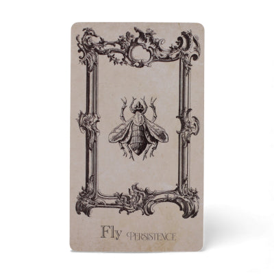 The Spellbook Oracle Cards- Witchcraft Deck