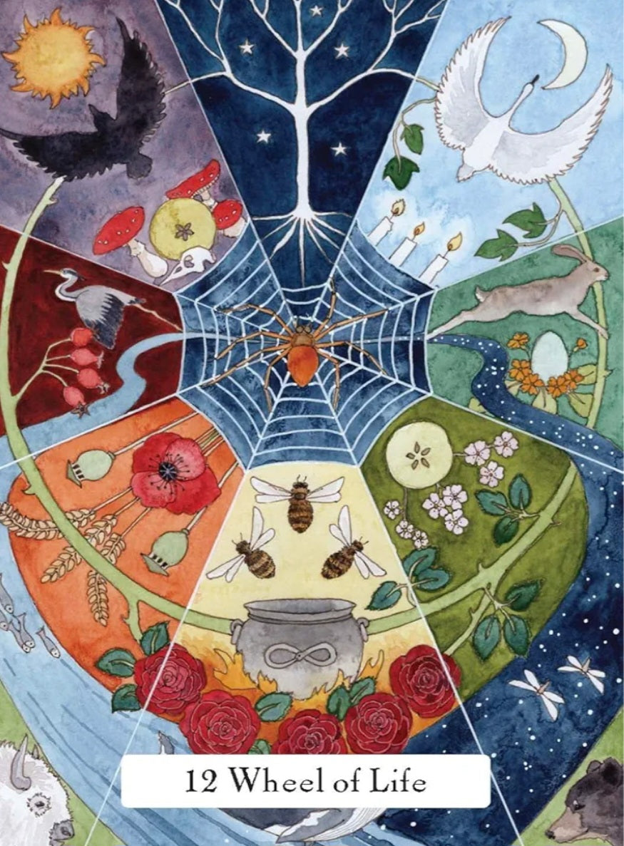 The Witches' Wisdom Tarot (Standard Edition): A 78-Card Deck and Guidebook